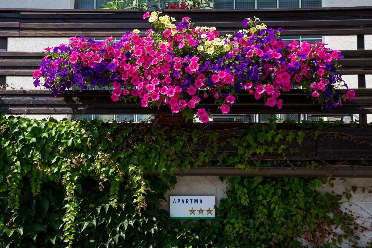 Apartment Ina 布莱德 外观 照片